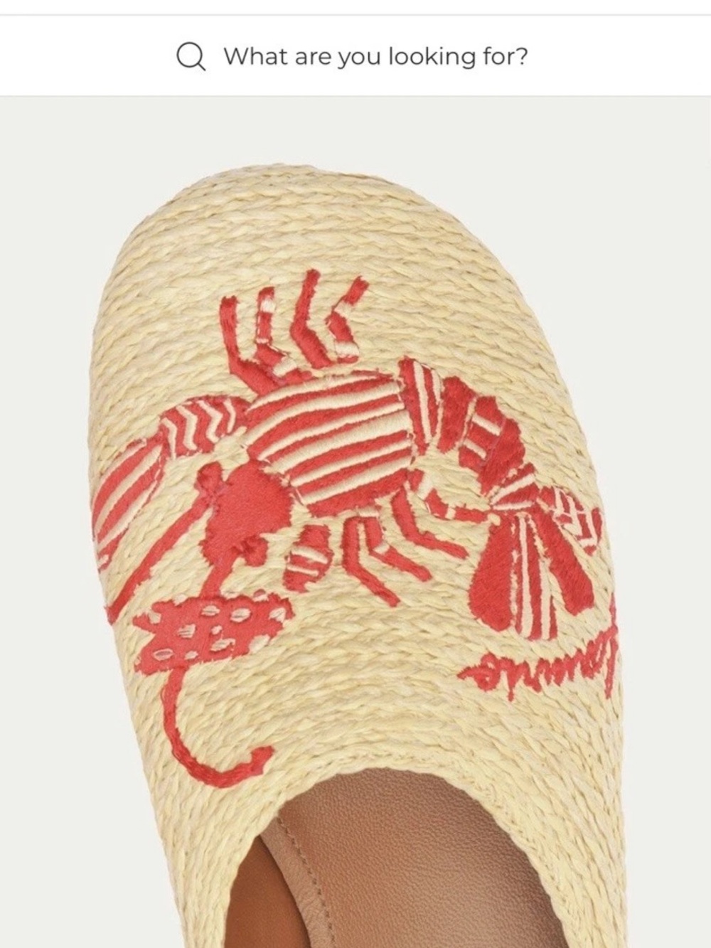 Farm Rio Embroidered Crab Raffia - Picture 3 of 6